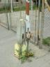 thm_DSCF0295.jpg