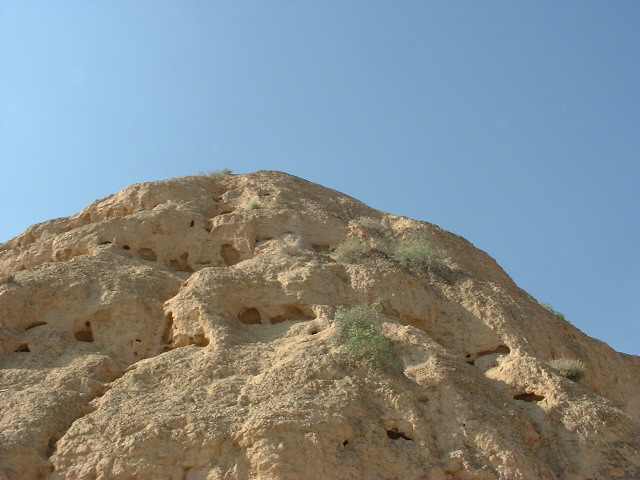 DSCF0075.JPG