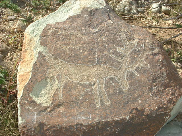 DSCF0111.JPG