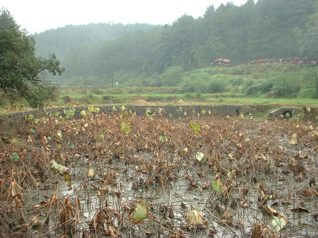 DSCF0495.JPG