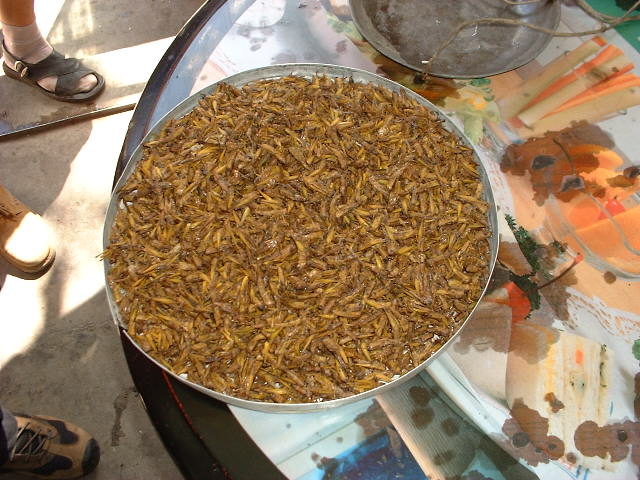 DSCF0595.JPG