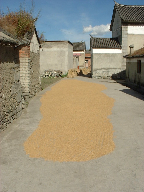 DSCF0598.JPG