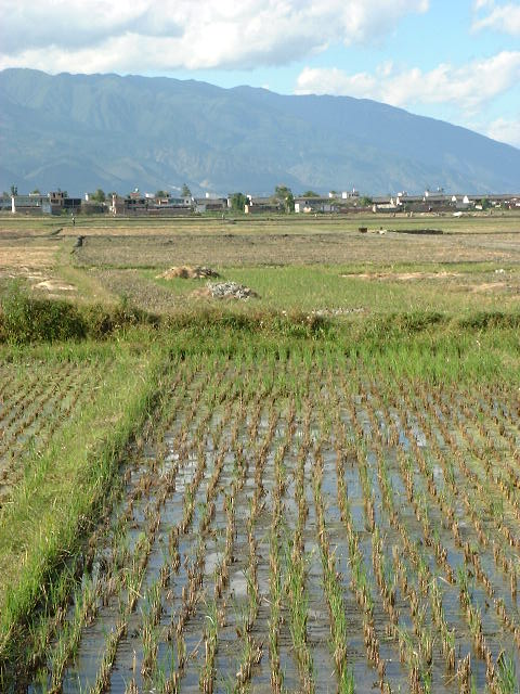 DSCF0609.JPG