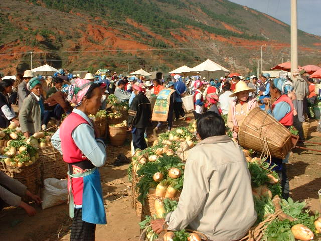DSCF0631.JPG