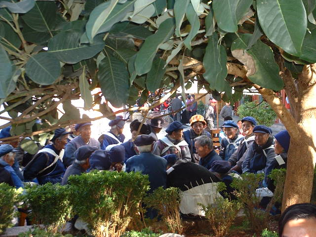 aDSCF1071.JPG