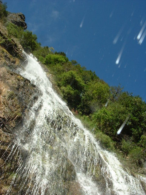 DSCF0822.JPG