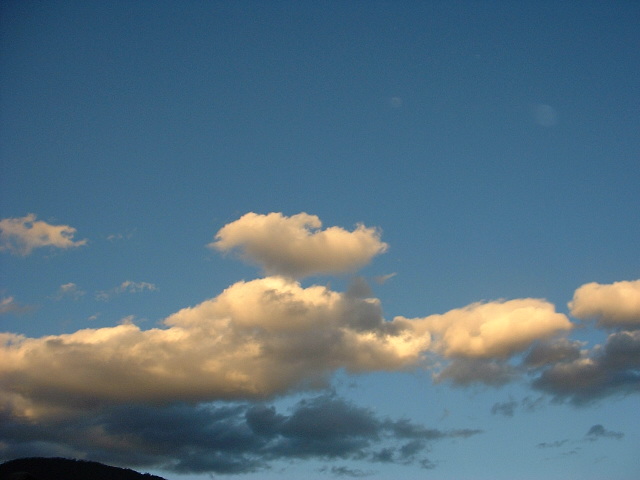 DSCF0919.JPG