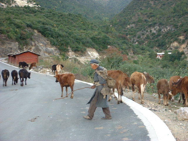 DSCF0923.JPG