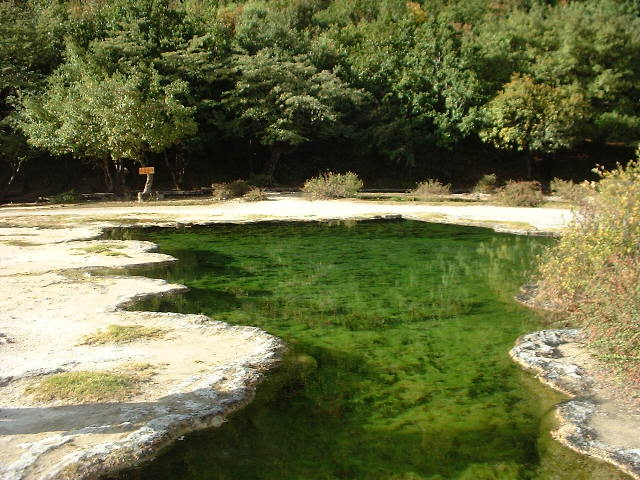 DSCF0947.JPG