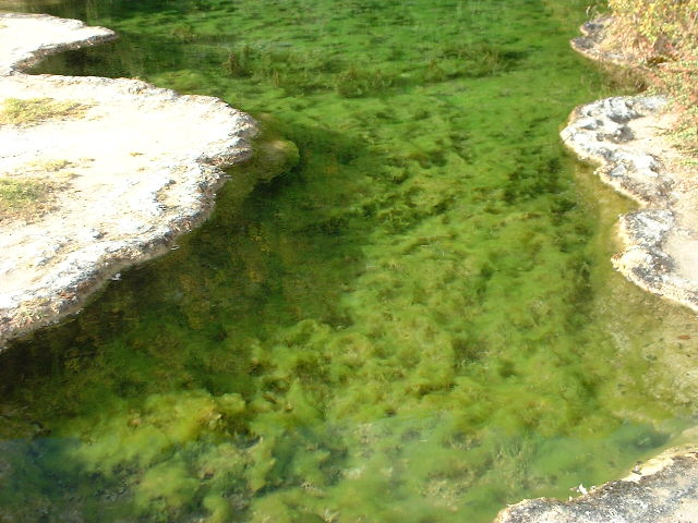 DSCF0948.JPG
