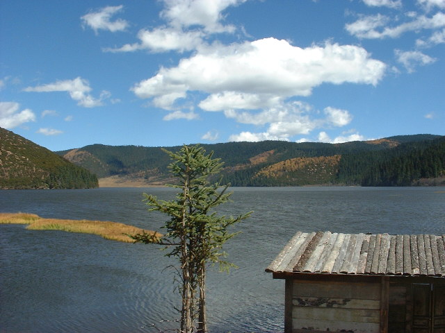 DSCF0979.JPG