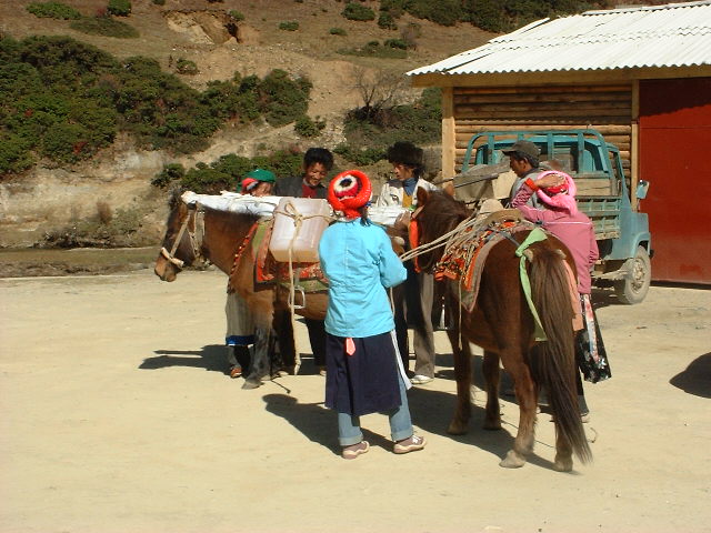 DSCF0996.JPG