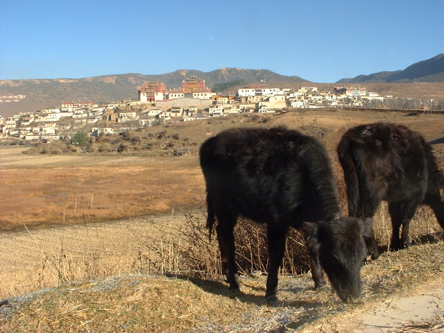 DSCF1031.JPG