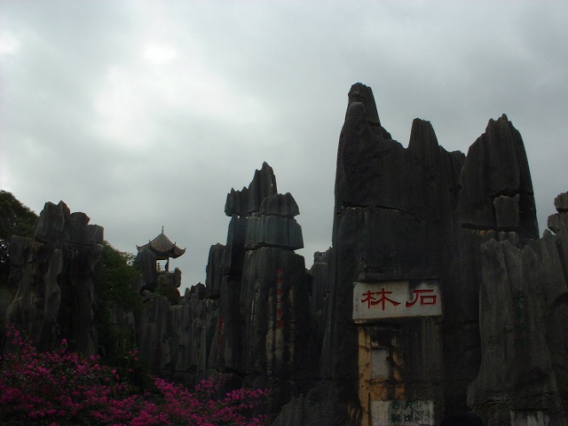 DSCF1104.JPG
