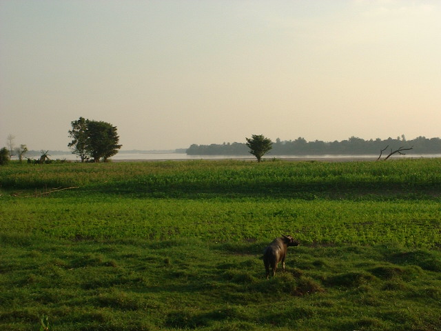 DSCF1334.JPG