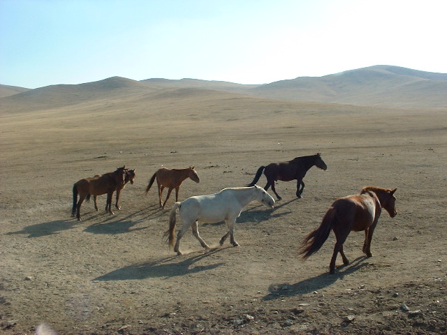 DSCF0524.JPG