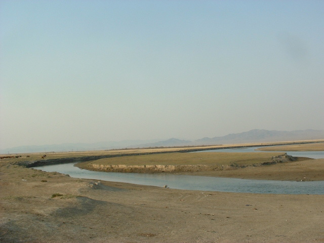 DSCF0530.JPG