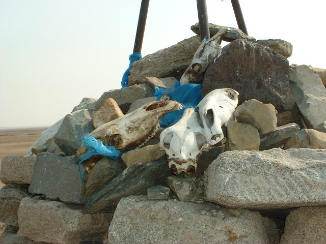 DSCF0696.JPG