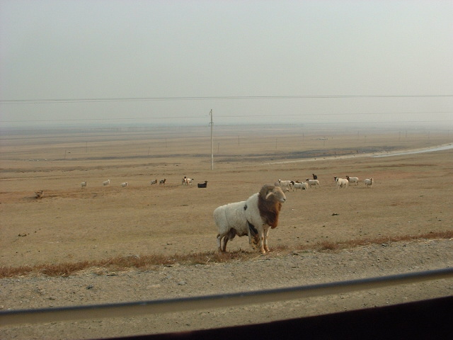 DSCF0897.JPG