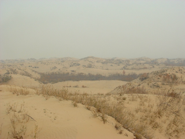DSCF0951.JPG
