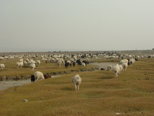DSCF0996.JPG