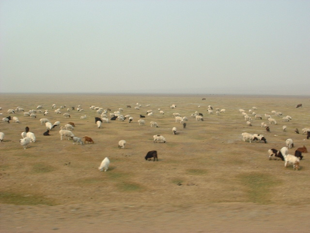 DSCF1020.JPG