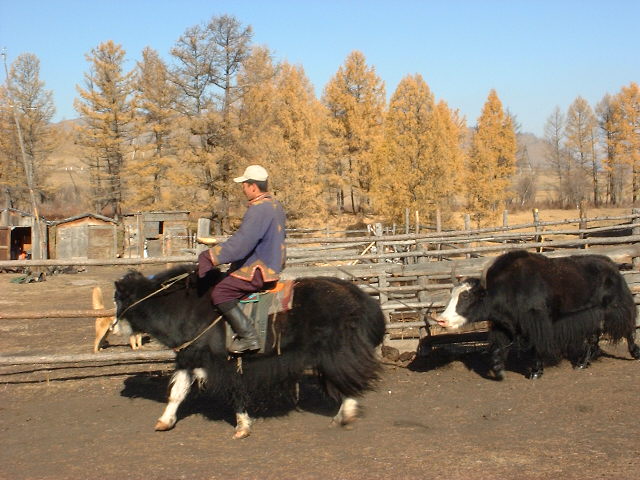 DSCF1315.JPG