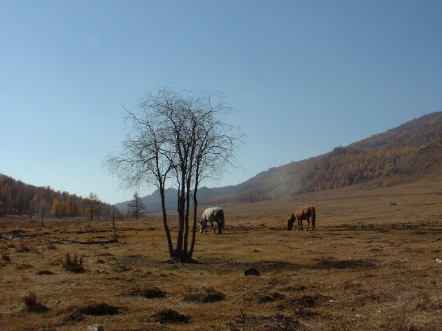DSCF1321.JPG