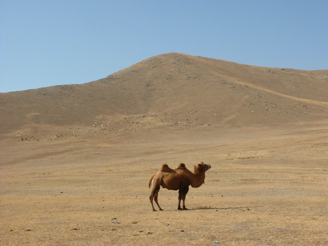 DSCF1324.JPG