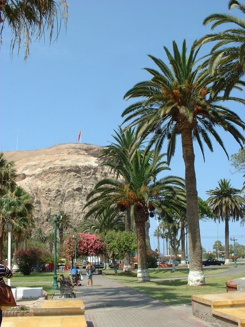 DSCF0046.JPG
