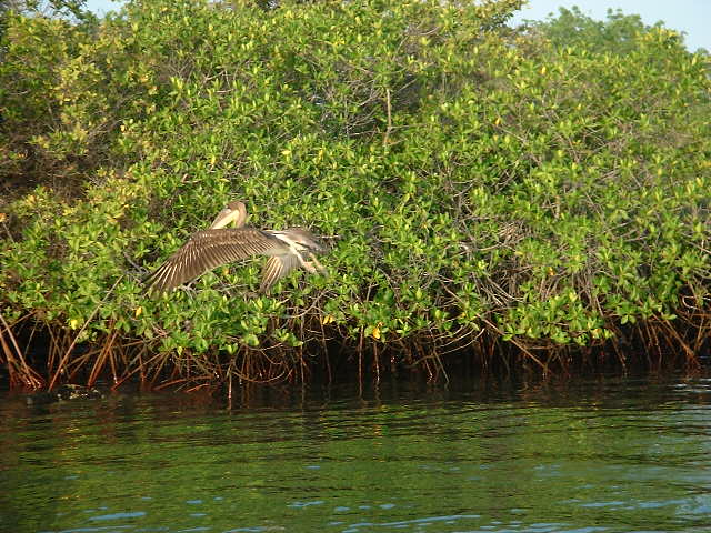 DSCF1209.JPG
