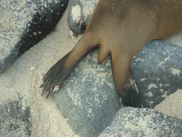 DSCF1294.JPG